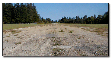 Bonny Doon Airport runway