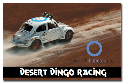 Desert Dingo Racing hero card front photo